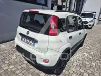 2019 Fiat Panda