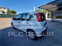 2019 Fiat Panda