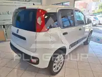 2019 Fiat Panda