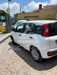 2019 Fiat Panda