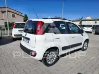 2019 Fiat Panda