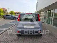 2019 Fiat Panda