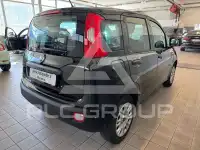 2019 Fiat Panda