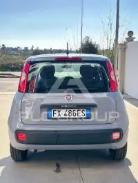 2019 Fiat Panda