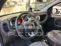 2019 Fiat Panda