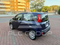 2019 Fiat Panda
