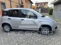 2019 Fiat Panda