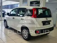 2019 Fiat Panda