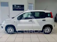 2019 Fiat Panda