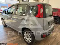 2019 Fiat Panda