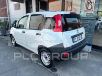 2019 Fiat Panda