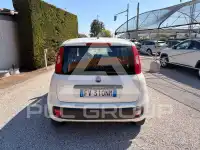 2019 Fiat Panda