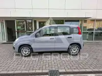 2019 Fiat Panda
