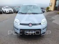 2019 Fiat Panda