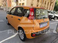 2019 Fiat Panda