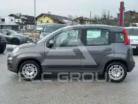 2019 Fiat Panda
