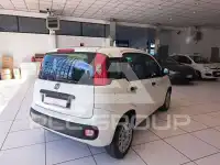 2019 Fiat Panda