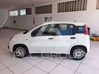 2019 Fiat Panda