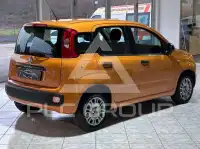 2019 Fiat Panda