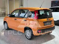 2019 Fiat Panda