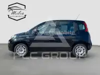 2019 Fiat Panda