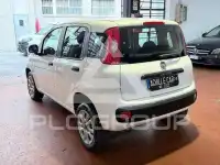 2019 Fiat Panda