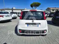 2019 Fiat Panda