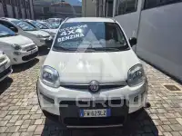 2019 Fiat Panda
