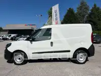 2019 Fiat Doblo