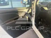 2019 Fiat Doblo