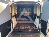 2019 Fiat Doblo
