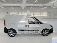 2019 Fiat Doblo