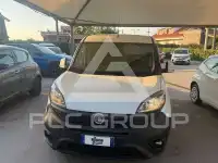 2019 Fiat Doblo