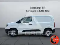 2019 Fiat Doblo