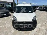 2019 Fiat Doblo