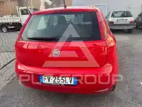 2019 Fiat Punto