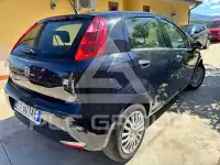 2019 Fiat Punto