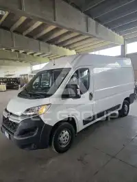 2019 Fiat Ducato