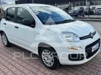 2019 Fiat Panda