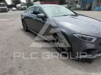 2019 Mercedes Benz CLS 300