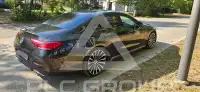 2019 Mercedes Benz CLS 300