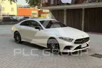 2019 Mercedes Benz CLS 300