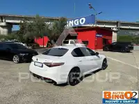 2019 Alfa Romeo Giulia