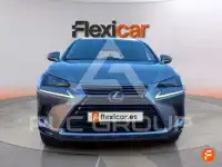 2019 Lexus NX300