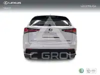 2019 Lexus NX300
