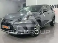 2019 Lexus NX300