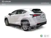 2019 Lexus NX300