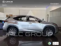 2019 Lexus NX300