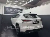 2019 Lexus NX300