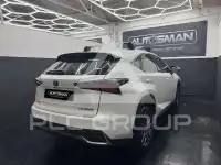 2019 Lexus NX300